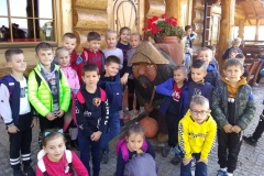 IMG_20211004_094050202