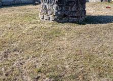 IMG_20220321_090403-Copy