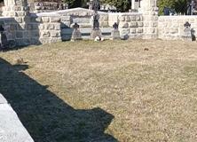 IMG_20220321_092354-Copy