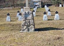 IMG_20220321_092520-Copy