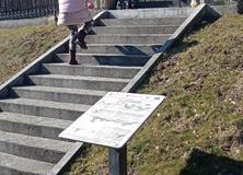IMG_20220321_093041-Copy