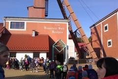 IMG_20211019_093220201-Copy