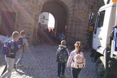 IMG_20211019_132934897-Copy